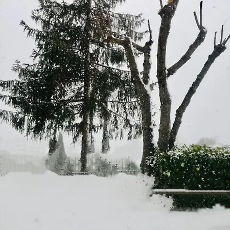Appartement La Casa In Legno Di Tarvisio